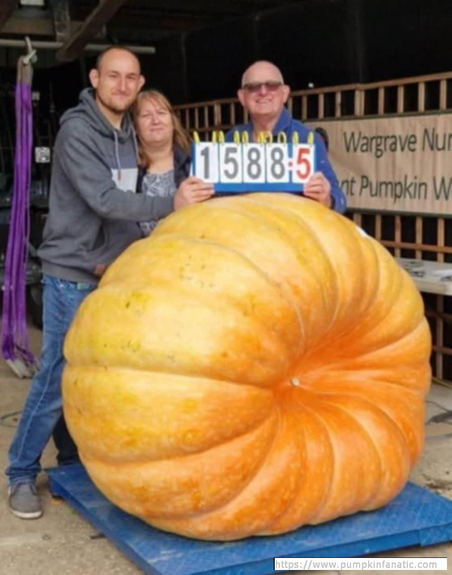 1588.2 Young 2025